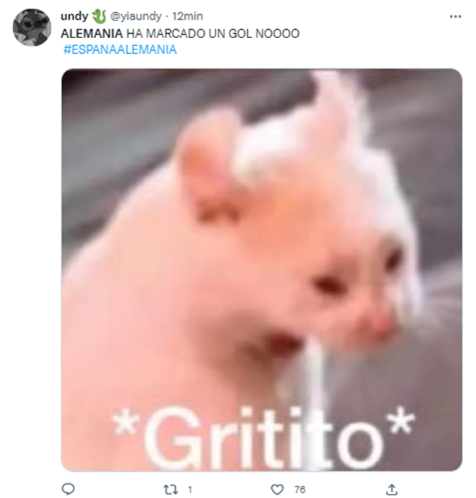 alemania-espana-memes10