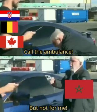 belgica-memes1