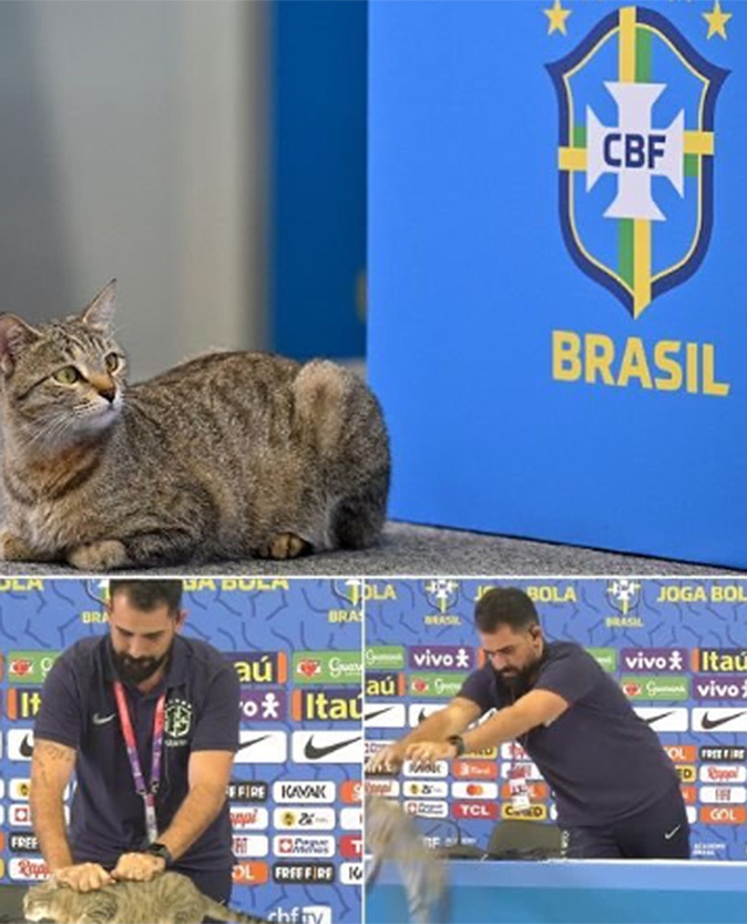brasil-memes13