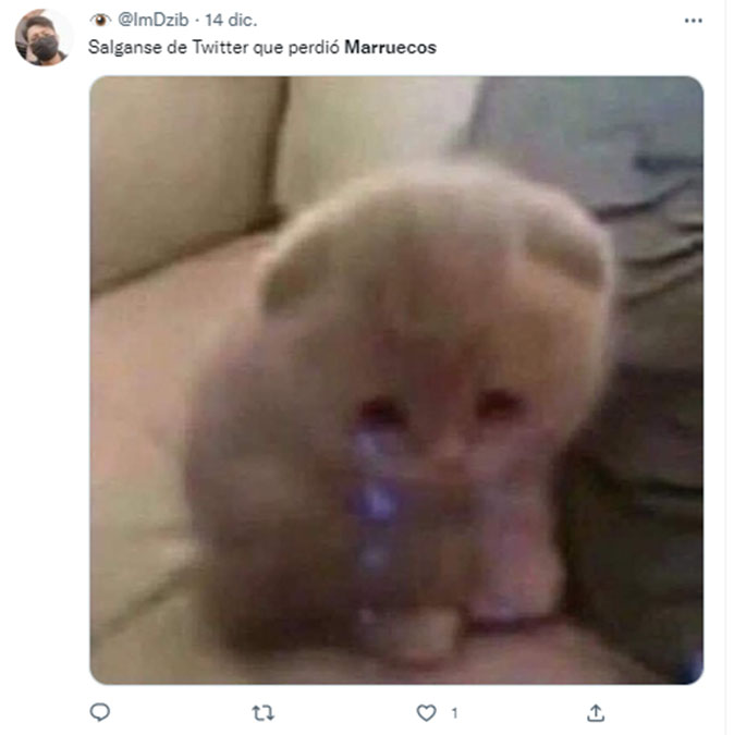 francia-memes9