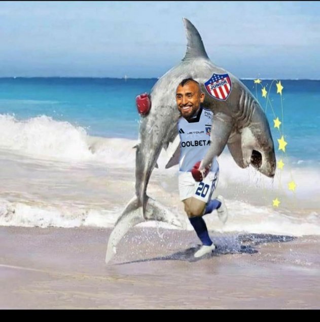 colo-colo-memes10