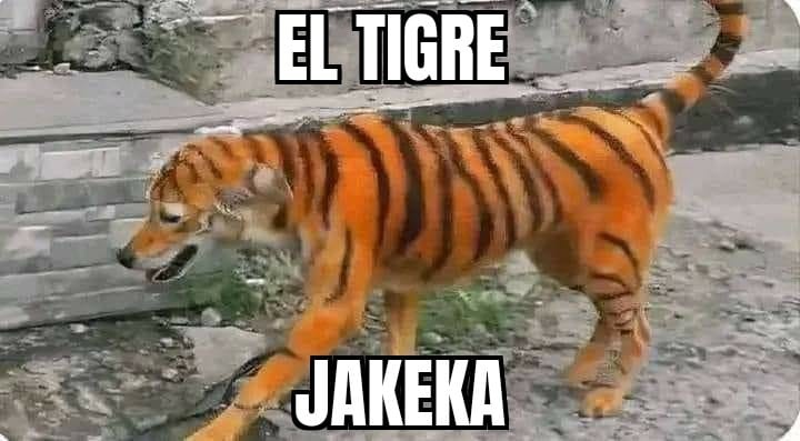chile-brasil-memes9