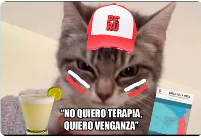 peru-chile-memes11