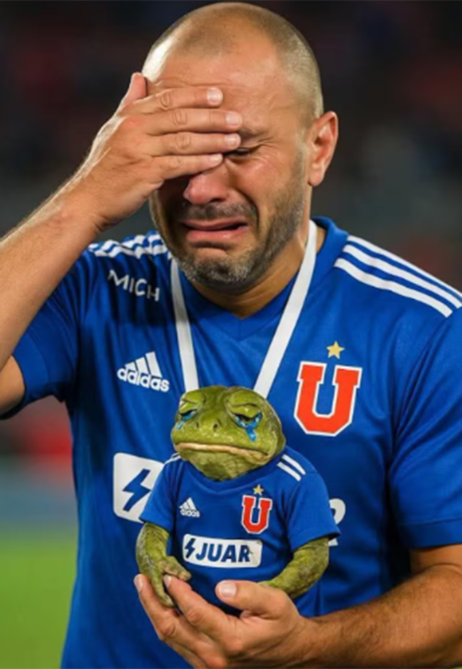 memes-copa-libertadores14