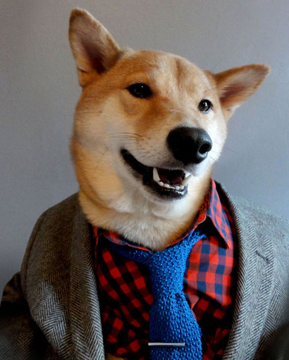Archivo: Perro Bodhi (Archivo)