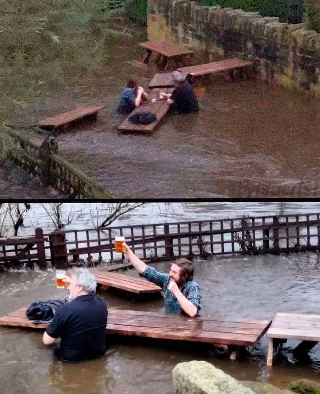 memes cerveza 16