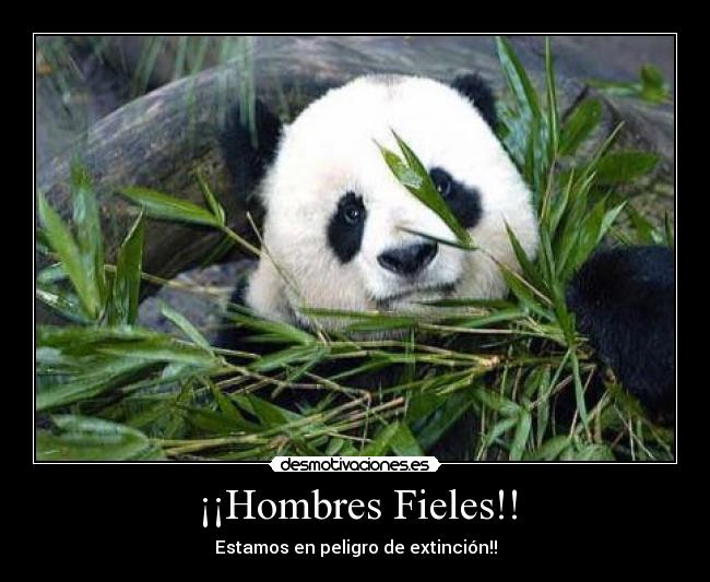 hombres fieles 12