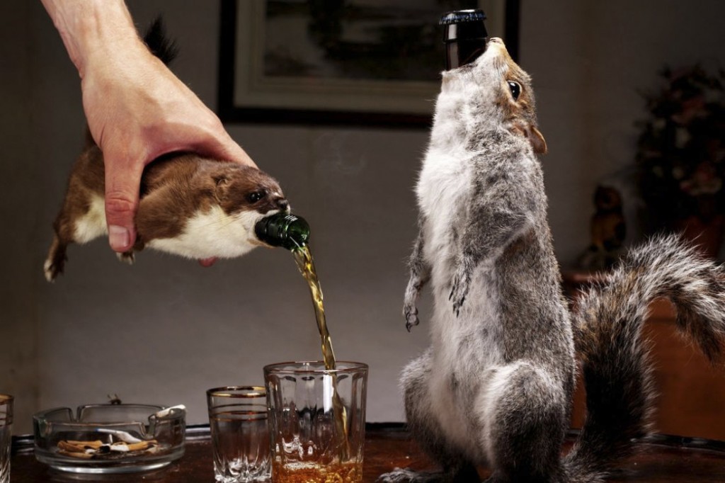 cerveza ardilla