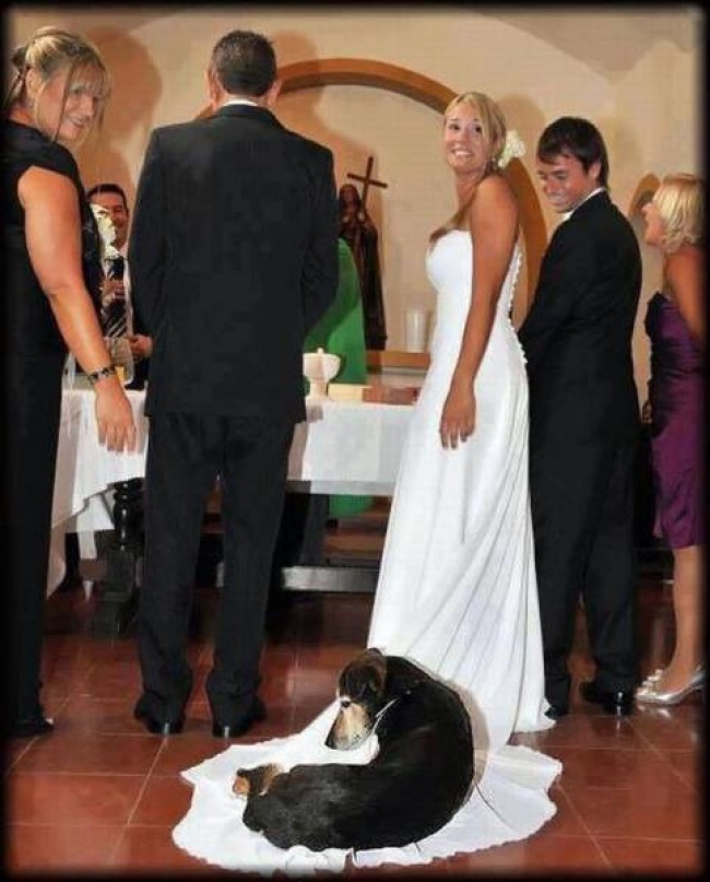 matrimonios 4