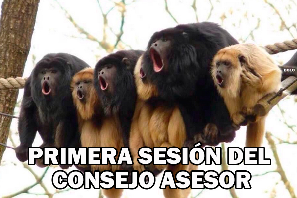 consejo-5