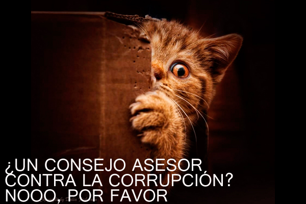 consejo-7