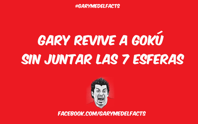 gary medel facts 11