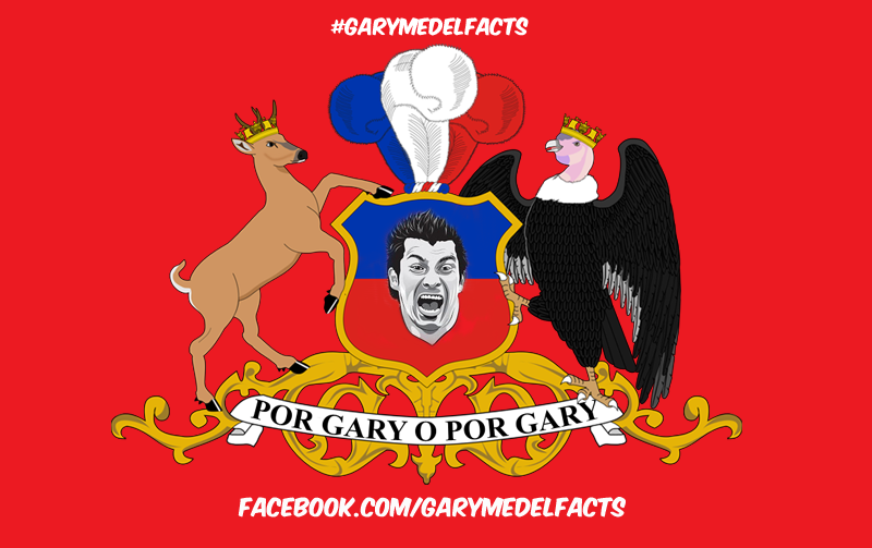 gary medel facts 12