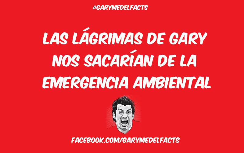 gary medel facts 13