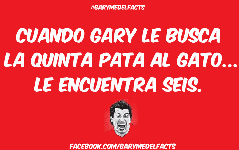 gary medel facts 18