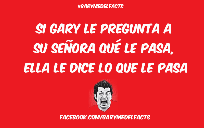 gary medel facts