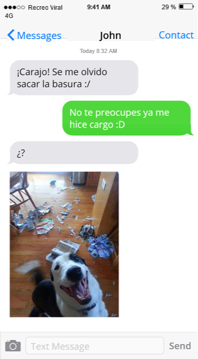 graciosos-mensajes-de-tu-perro-13