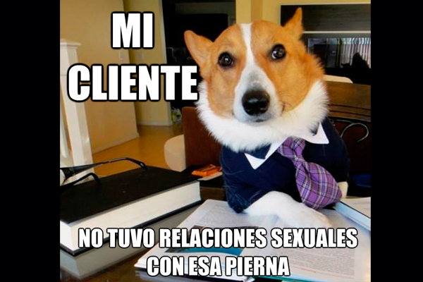 memes-animales-7