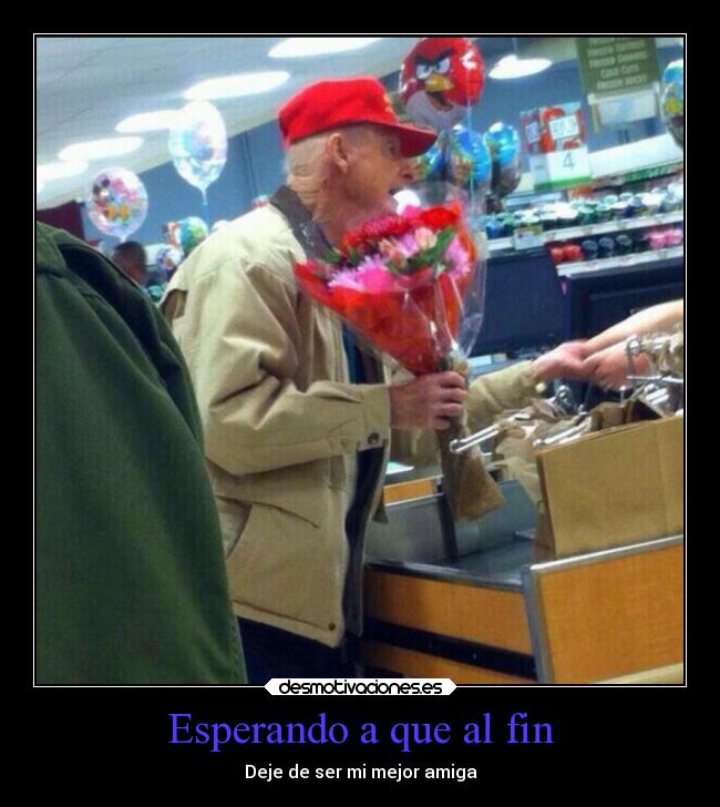 friendzone 4