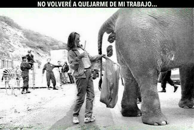 peores trabajos 5