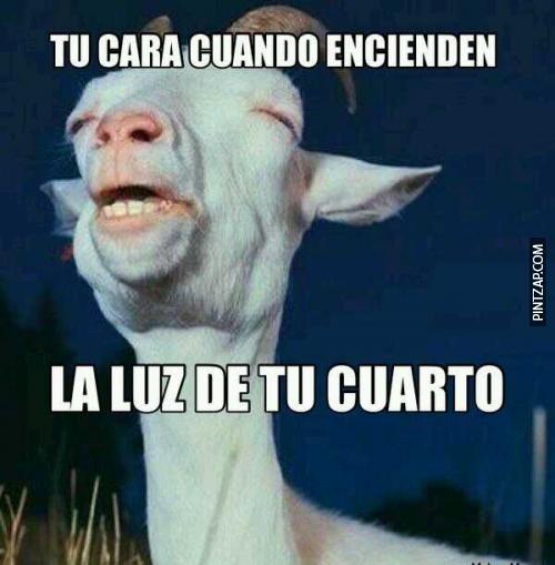 cuando tu cara 13