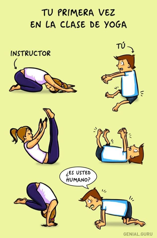 gym 5