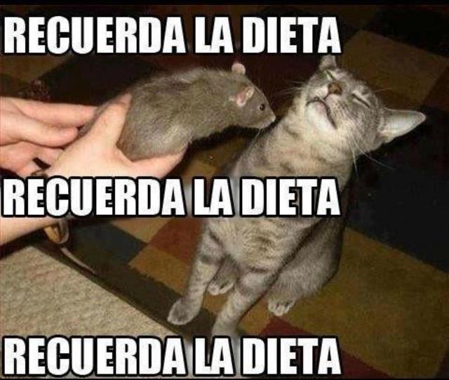 xdificil-dieta--1696560746.jpg.pagespeed.ic.fA0S80uKne