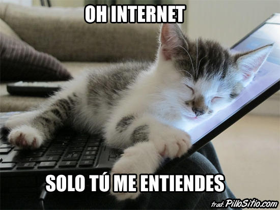 xincomprendido--1070970212.jpg.pagespeed.ic.mc-MxwSoAA (1)