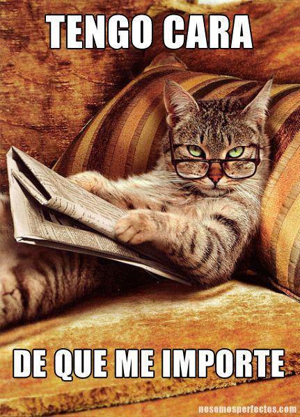 xtengo-cara-importe--78600370.jpg.pagespeed.ic.2RKjCuEKDR