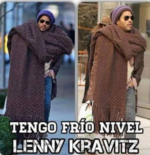 memes ola de frío