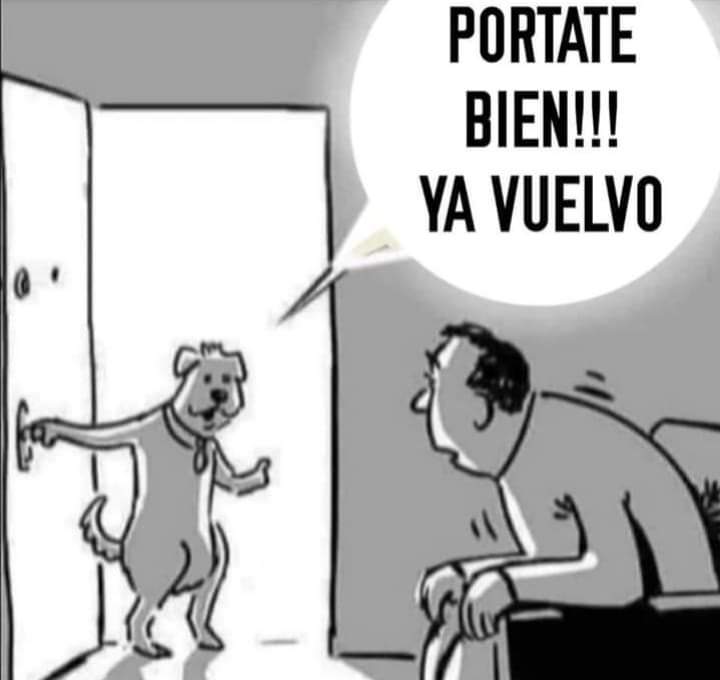 covid 19 humor (7)