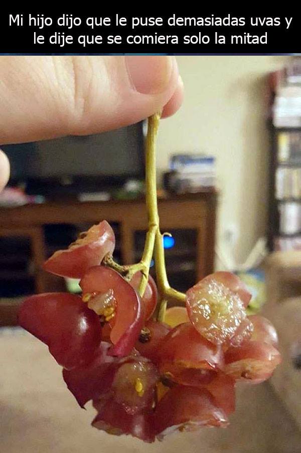 niños obedientes 12