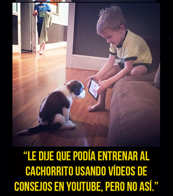 niños obedientes 2