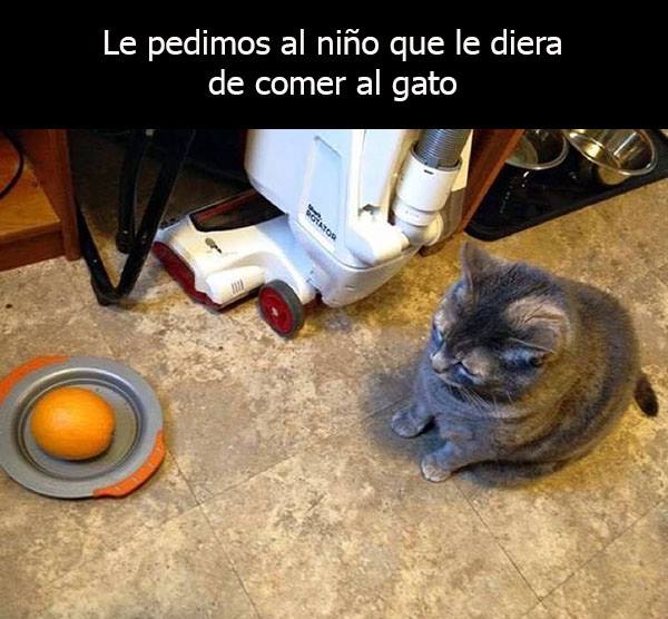 niños obedientes 3