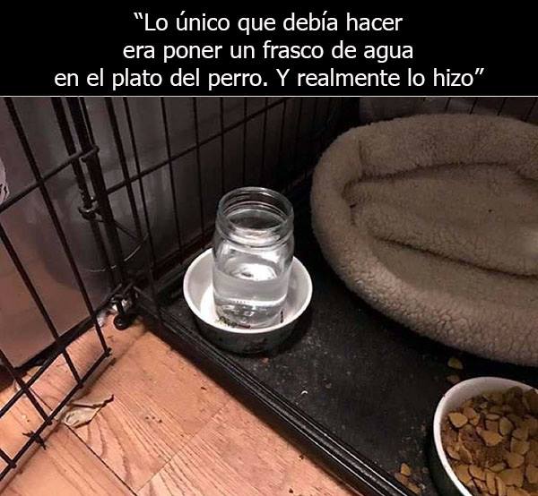 niños obedientes 8