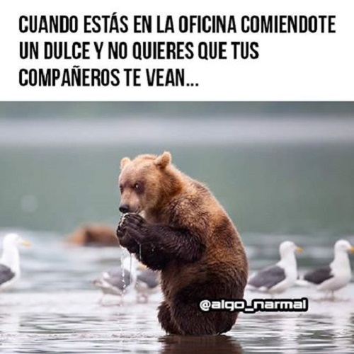memes de oficina 6