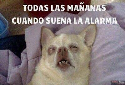 memes levantarse de la cama 9