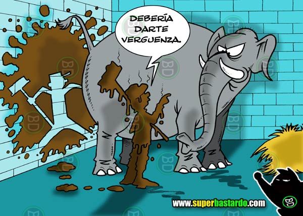 elefantes 10