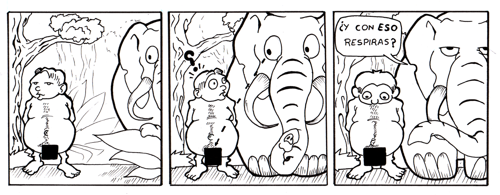 elefantes 6