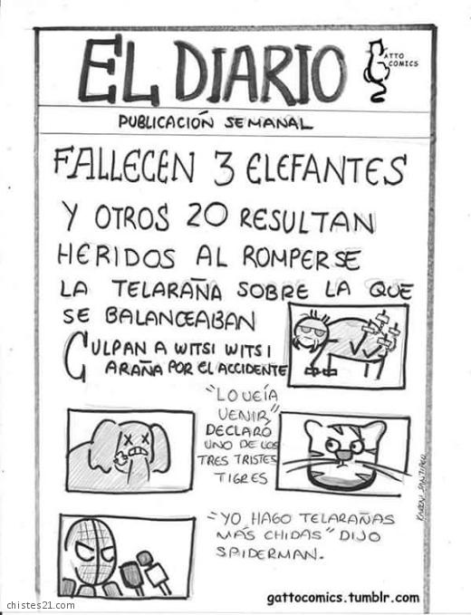 elefantes 9
