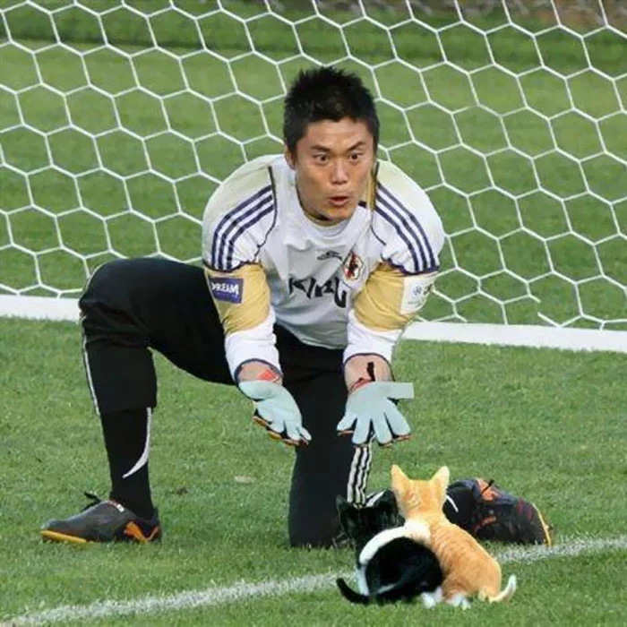 boredpanda 4