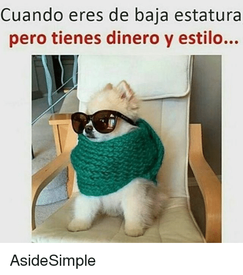 memes personas bajas 10
