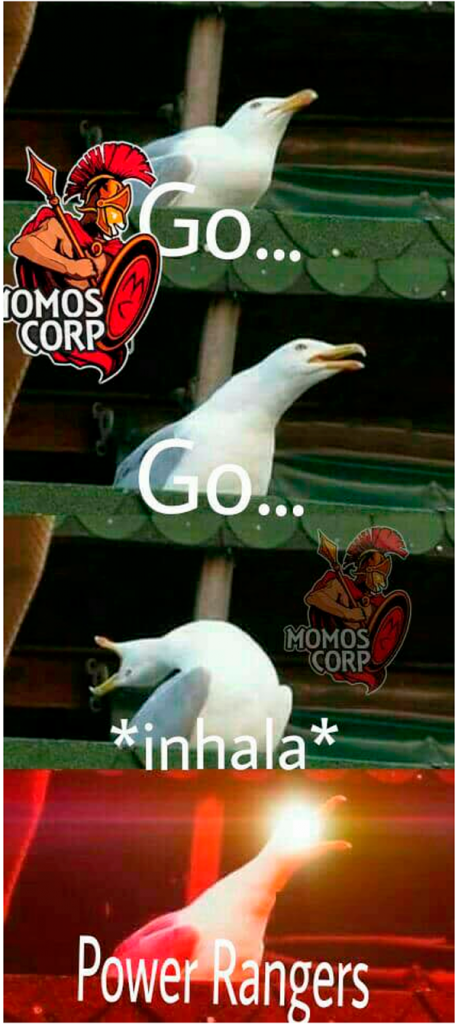 memes gaviota 3