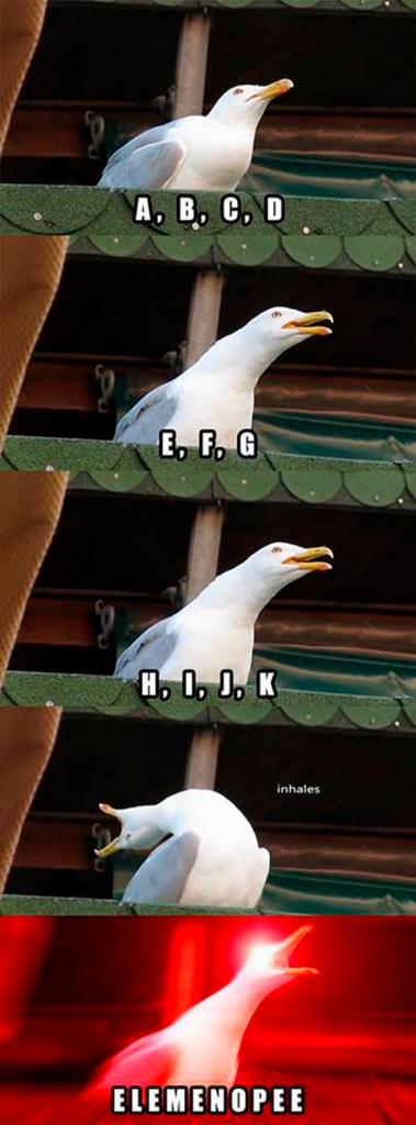 memes gaviota 4