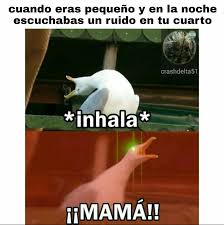 memes gaviota 6