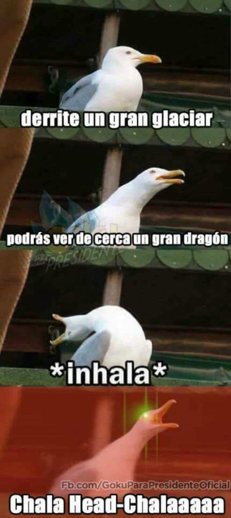 memes gaviota 7
