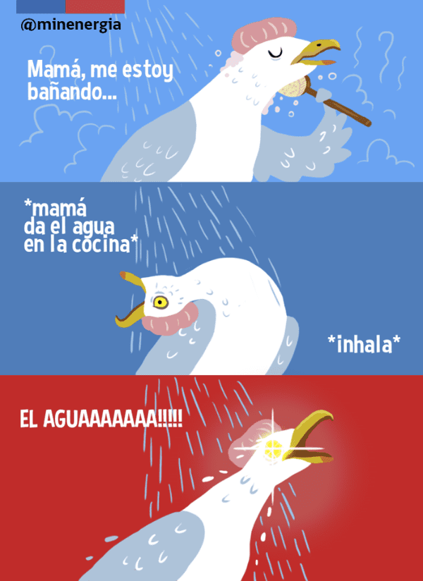 memes gaviota 8