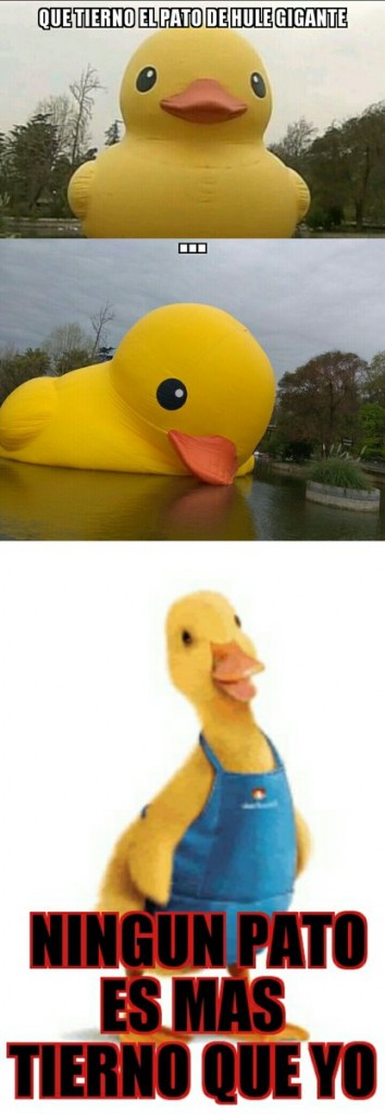 pato de hule