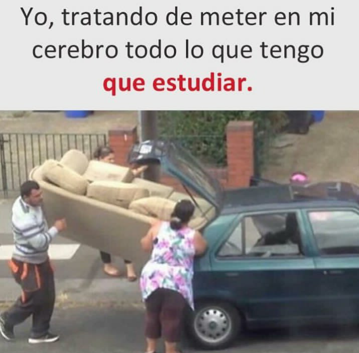 exámenes de fin de año
