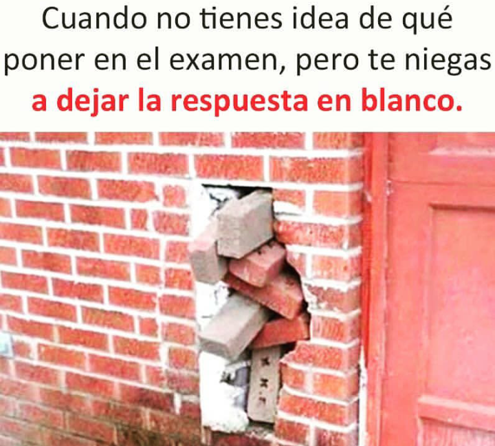 exámenes de fin de año